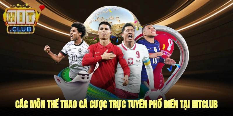 Các môn thể thao cá cược trực tuyến phổ biến tại Hitclub