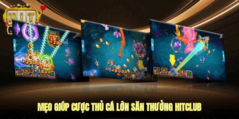Mẹo giúp cược thủ cá lớn săn thưởng Hitclub