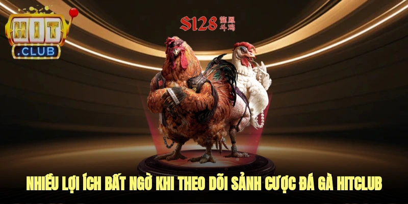 Nhiều lợi ích bất ngờ khi theo dõi sảnh cược đá gà của HITCLUB